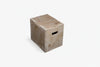 Wooden gym box with on a white background