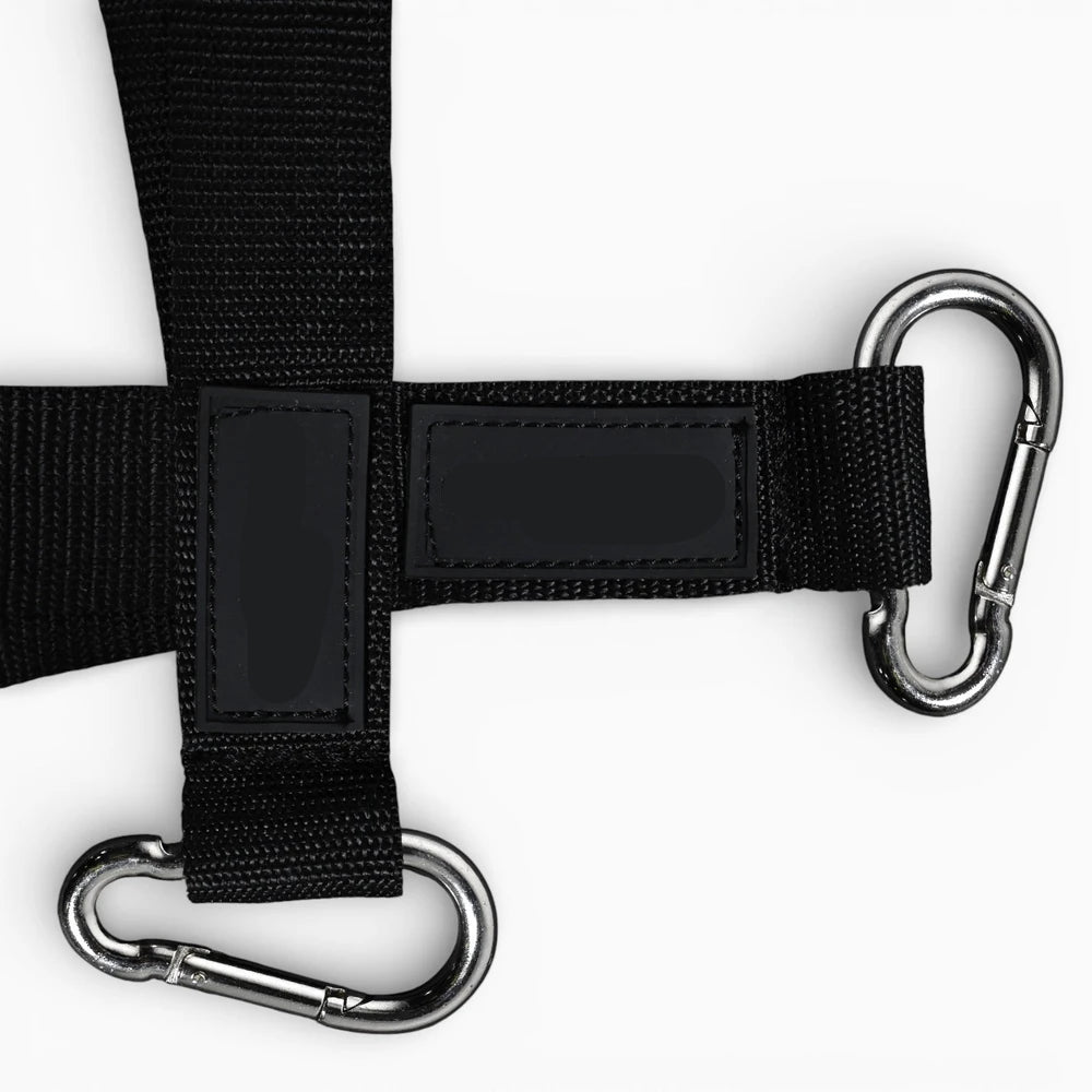 Gym machine pull straps with carabiner clips on a white background