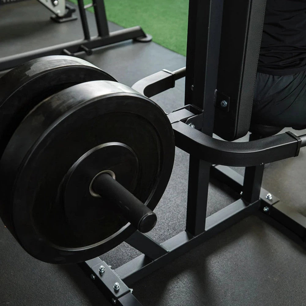 Weight plates on a gym dip machine