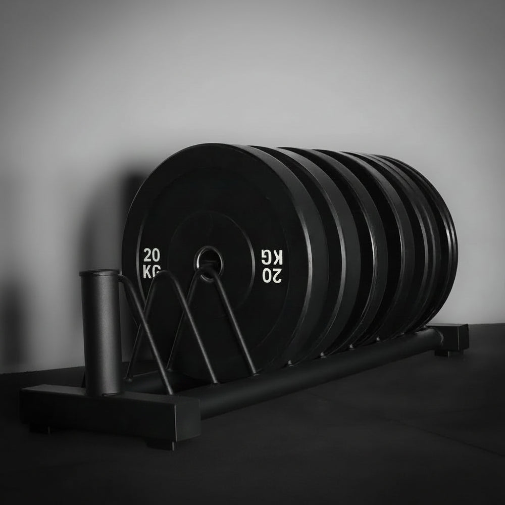 Weight storage rack for gym weight plates and barbells