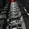Row of hex dumbbells in a dark gym setting