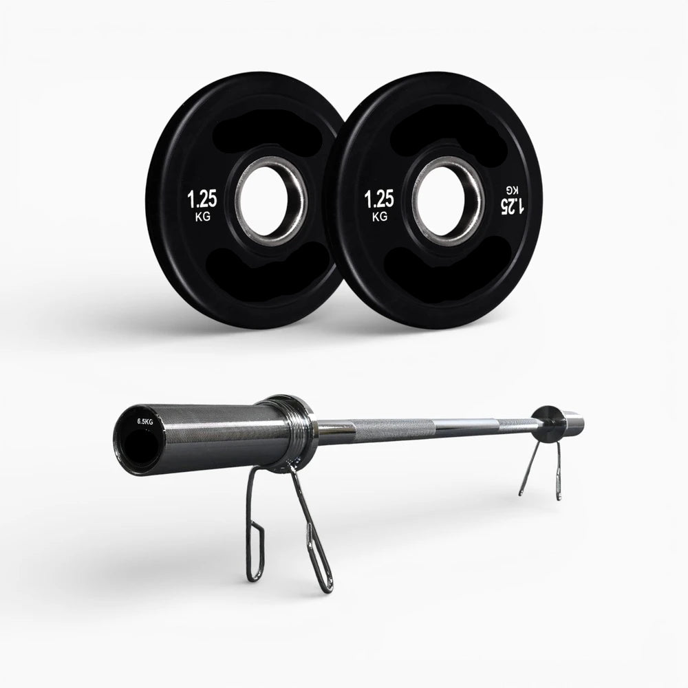 Two weight plates and a barbell on a white background