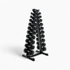 Black hexagonal dumbbell set on a stand against a white background