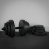 Dumbbell with weight plates on a dark surface against a light background