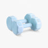 Pair of light blue dumbbells on a white background