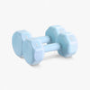 Pair of light blue dumbbells on a white background
