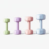 Four pastel-colored dumbbells on a white background