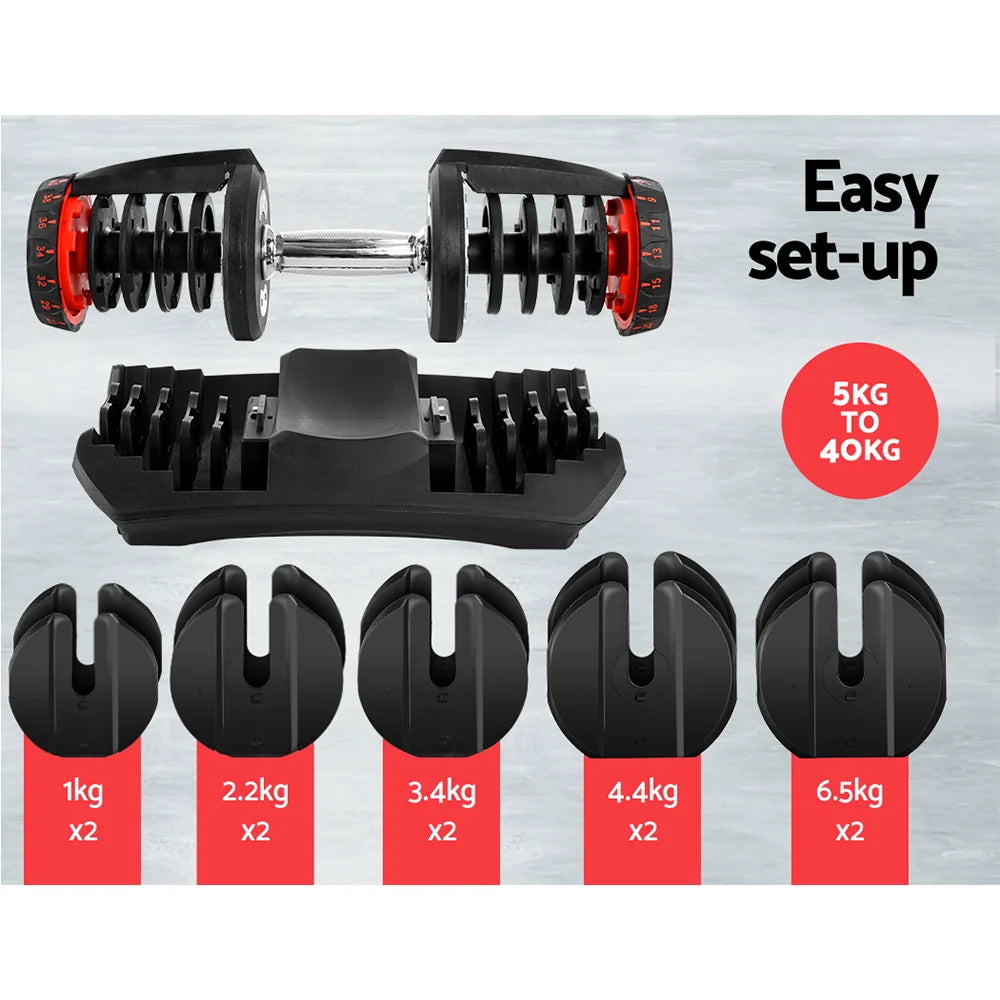 Adjustable dumbbells with weight attachments on a gray background