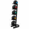 A black metal medicine ball rack holding five black medicine balls of different colors on a white background.