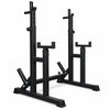 Black metal squat rack on a white background